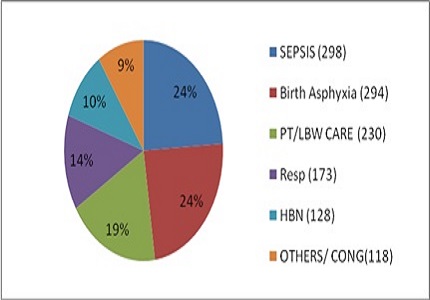 Morbidity and Mortality pattern of neonatal intensive care unit in a Medical College Hospital from South India