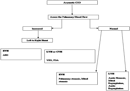 Clinical accuracy of post graduate student in diagnosing congenital heart diseases (CHD) using an algorithmic approach and its comparison with echocardiography
