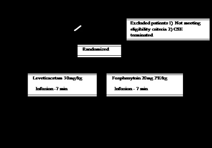 Randomized controlled trial of levetiracetam versus fosphenytoin for convulsive status epilepticus in children