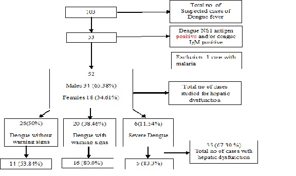 Prevalence of hepatic dysfunction in children with dengue fever