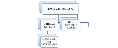 Incidence, risk factors, clinical profile, and determinants (affecting outcome) of new onset acute kidney injury developing in critically Illpatients in pediatric intensive care unit of a tertiary hospital in middle India